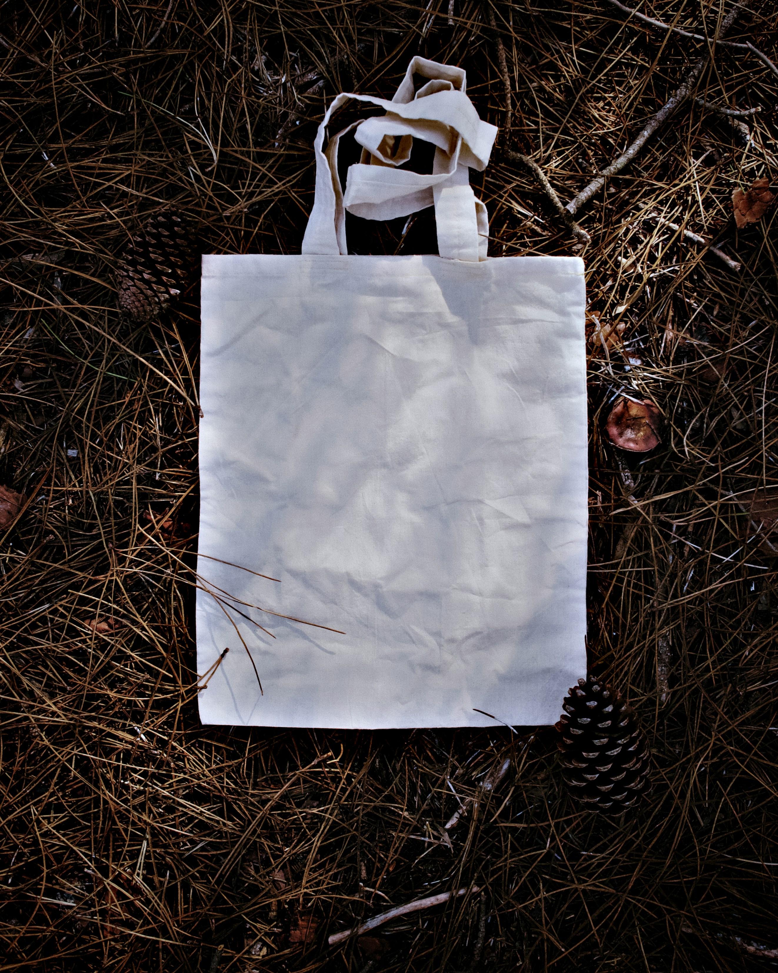 Moondance Tote
